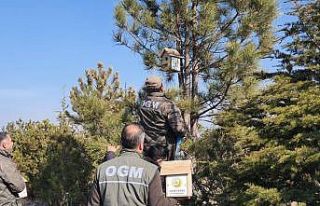 15 Temmuz Şehitler Ormanına kuşlar için yuva bırakıldı