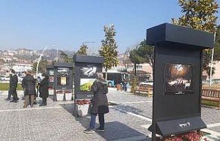 2. Beykoz Fotoğraf Yarışması ödül töreni gerçekleşti