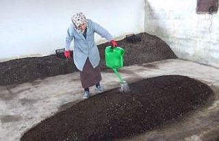 2 üniversite mezunu kadın, organik solucan gübresi...