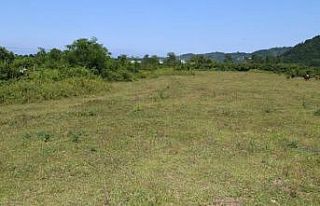 40 yıllık hasret sona eriyor