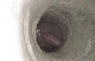 500 kiloluk inek düştüğü kuyudan vinç yardımıyla...