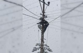 5 gün süren esareti el birliğiyle bitirdiler