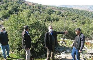 850 dönümlük meşe ormanı için itfaiye yolu talebi