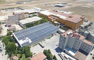 8 bin güneş enerjisi paneli enerji ihtiyacının...