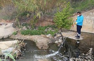 Adana’da 119 araç ve 300 personelle vektör mücadelesi