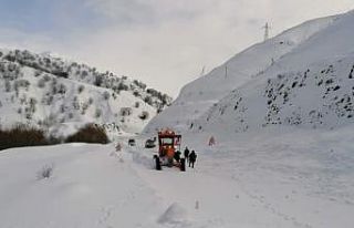 Adıyaman-Çelikhan karayoluna çığ düştü