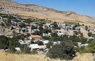 Adıyaman’ın Zey köyü karantinaya alındı