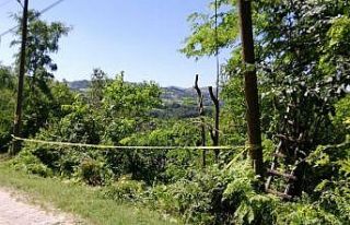 Ağaç budama cinayeti sanığına 25 yıl hapis