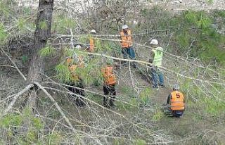 Ağaç işleyen köylülerin uygulamalı “mesleki...