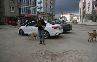 Ağlayarak video çekip sosyal medyadan paylaşan...