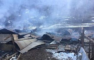 Ahırda çıkan yangında 18 büyükbaş hayvan telef...