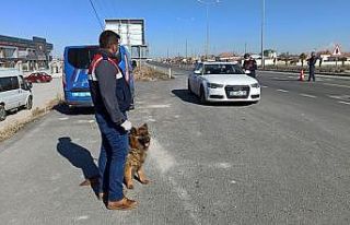 Aksaray jandarması detektör Sala ile uygulamada