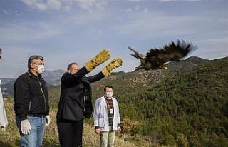 Alanya’da tedavisi tamamlanan 2 şahin ve kartal...