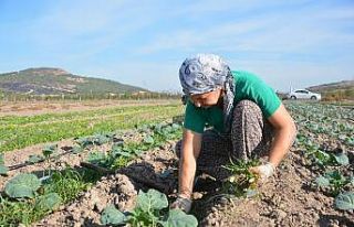 Aliağa Belediyesinden Türkiye’nin ilk toprak ve...