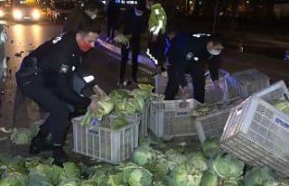 Alkollü sürücünün sebep olduğu kazada yol lahana...