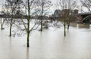 Almanya’da Ren Nehri taştı