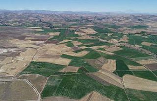 Altınyayla’da arazi toplulaştırma çalışmaları