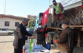 Anamur’da üreticiye fide desteği