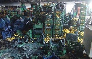 Antalya’daki yangında 350 ton sebze küle döndü,...