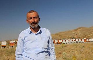 Arıcılar Birliği Başkanı Canbay, “Arıcılığın...