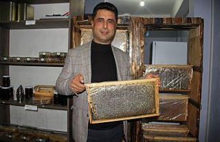 Arıcılık ‘Resmi Meslek Statüsü’ kazandı