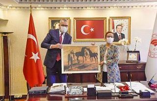 Aromatik bitki yetiştiriciliğine Ankara’dan özel...
