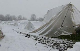 Aşırı kara dayanamayan seralar çöktü