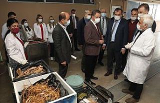 Atakum’da günde 1,5 ton atık, mama ve gübreye...