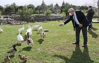 Atatürk Kent Parkı ‘Kuş Cenneti’ne döndü