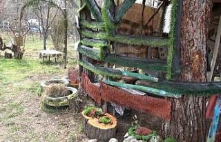 Atık malzemelerle evinin bahçesini dizayn etti,...