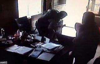 Atmacanın kovaladığı kuş sürüsü bir yazıhaneye...