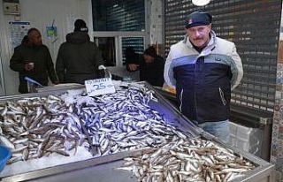 Av yasağı bitti ama hamsi de bitti