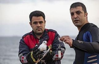 Ayağına misina takılan martı ile yardıma giderken...