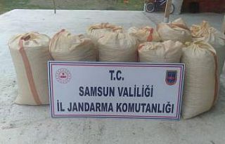 Ayak izi fındık hırsızını yakalattı