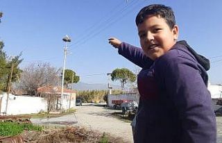 Aydın’a bu yılın ilk leyleği geldi