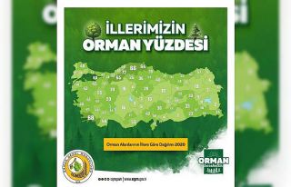 Aydın’ın yüzde 40’ı ormanlarla kaplı