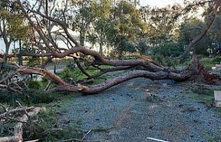 Ayvalık’taki hortumun dehşeti havadan görüntülendi