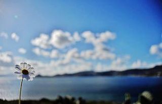 Baharın müjdecisi ilk cemre havaya düştü