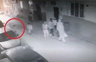 Bak şu yaramazın yaptığına