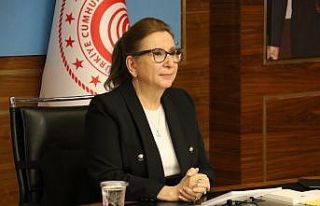 Bakan Pekcan: ”Serbest bölgelerde yabancı sermayeli...