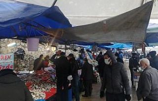 Balık fiyatlarını soğuk vurdu