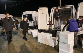 Balık mezadında ’vali’ sürprizi