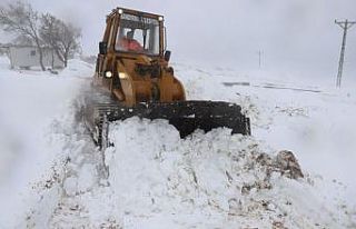 Balıkesir’de ağıllarda mahsur kalan 600 hayvan...