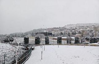 Balıkesirliler güne karla uyandı