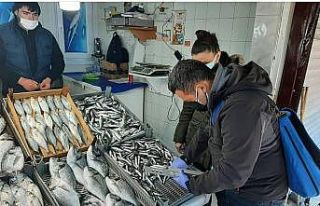 Balıklar boy boy denetleniyor