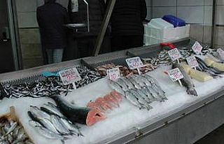 Balıkta zam şampiyonu çinekop oldu