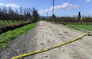 Başından vurulmuş halde yol kenarında bulunmuştu,...