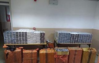 Başkale’de 12 bin paket kaçak sigara ele geçirildi
