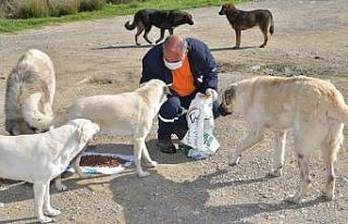 Başkan Çetin: "Hayvansever bir belediyeyiz"