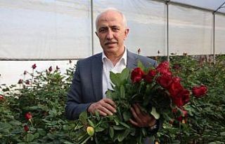Başkan Gültak, 14 Şubat Sevgililer Gününü gül...